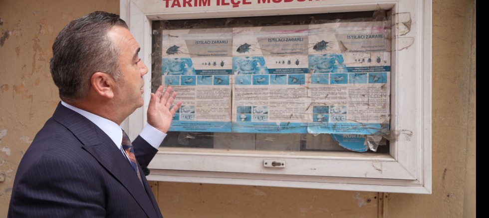 “Kokarcaya karşı afiş değil, gerçek mücadele lazım” - SİYASET